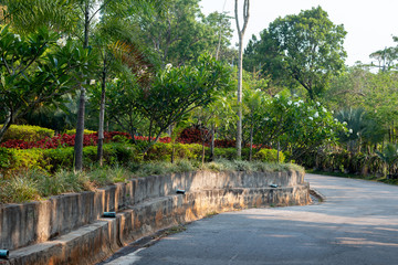 Obraz premium Promenade in a beautiful city park