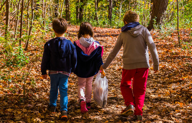 Three children holding hands, walking in the park in Autumn, rear view.