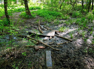 the Board lies across the stream in the spring