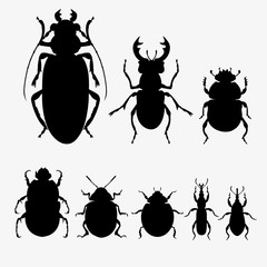 Vector set of beetles