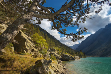 Fototapeta na wymiar View of a bank of a mountain lake Lac de Gaube framed by pine branches, Pyrenees Occidentales, France