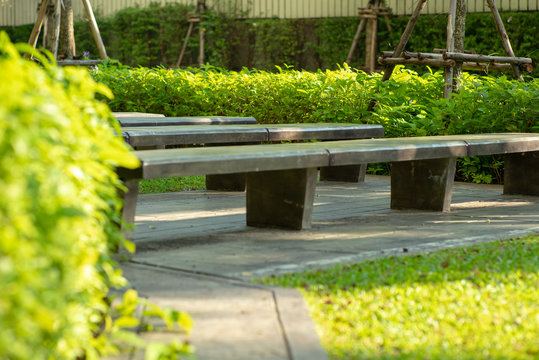 Selective focus picture of empty concrete benches in outdoor park with blurred green bush in background
