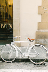 White Bicycle in Rome Alley