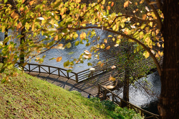 Seasonal landscape from Postojna in Slovenia, beautiful walkway along the river, trees covered with yellow leaves
