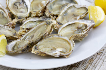 huîtres