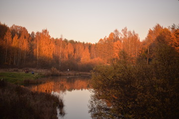 autumn in the park