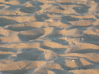 footprints in the sand