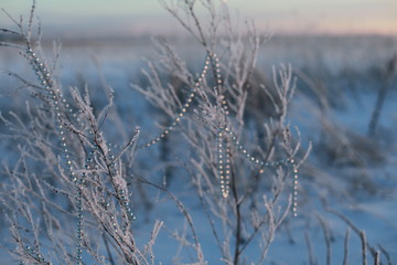 branches with beads