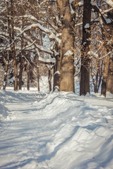 Fototapeta na wymiar Footpath in the snow in the winter forest