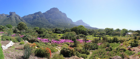 Kirstenbosch Botanic Garden, Cape Town, South Africa