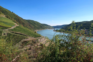 Obraz premium Der große Rhein