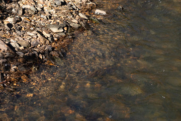 Rocky river bank with clear water