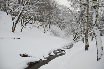 Winter landscape with stream