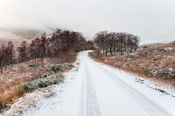 Obraz na płótnie Canvas Snowy Road