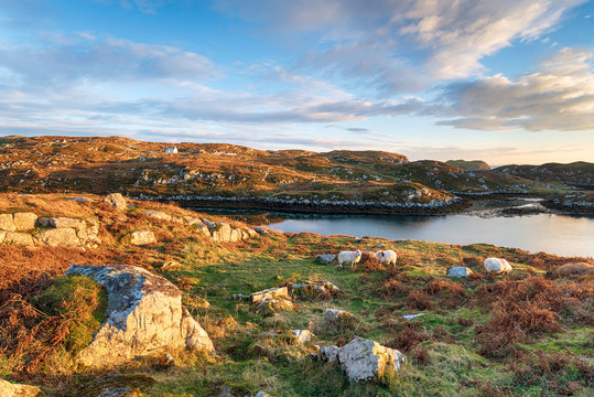 The Isle of Scalpay in Scotland