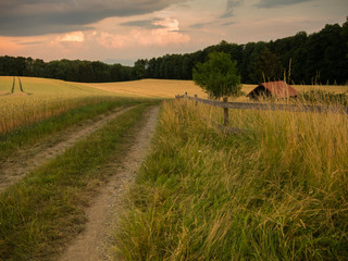 Fototapeta premium Sommertag