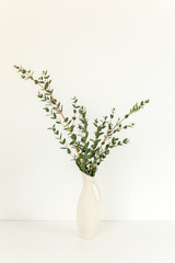 Branches of eucalyptus in vase on table on light background. Home decor. Blog, website or social media concept .