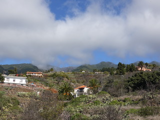 Fototapeta premium La Palma