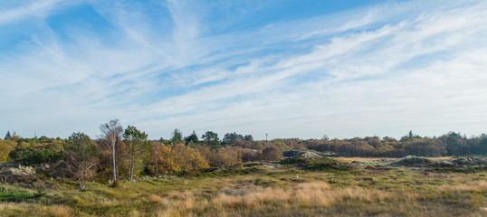Panoramafoto Dünenlandschaft St. Peter-Ording Winter
