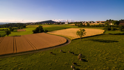 Naklejka premium Landschaft von Oben