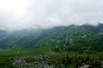 Forested mountain slope in low lying cloud with the evergreen conifers shrouded in mist in a scenic landscape view, transfagarasan, romania