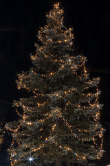 The christmas tree decorated by lights, Canazei, Italy