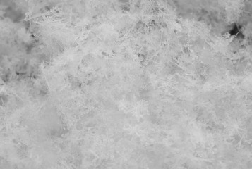 snowflake in the snow, winter background, macro closeup