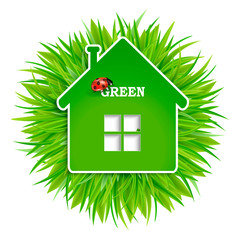 green eco house