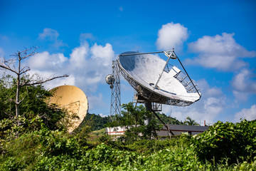 Satellite dish in the forest with sighns of rust