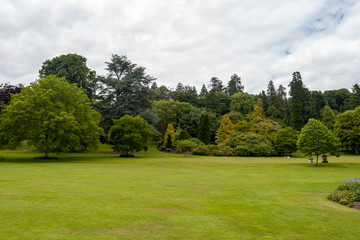 Killerton