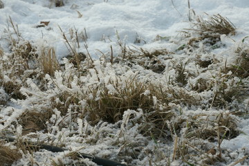 frozen grass with snow and hoarfrost