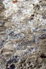 Closeup of frost patterns on muddy puddle
