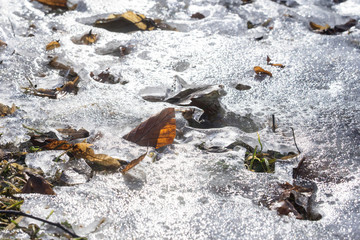 Closeup of melting snow and ice on a meadow