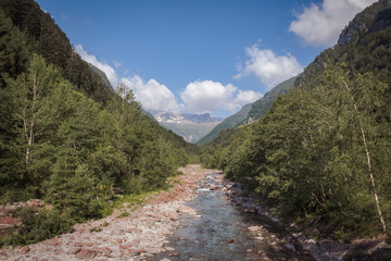 Fototapeta na wymiar River in the middle of a valley surrounded by trees