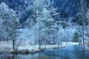 凍てつく田代池の朝