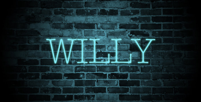 first name Willy in blue neon on brick wall