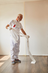 Home Painter