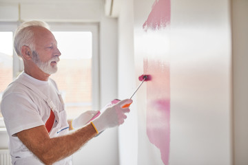 Home Painter