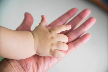 the child's hand in the parent's hand