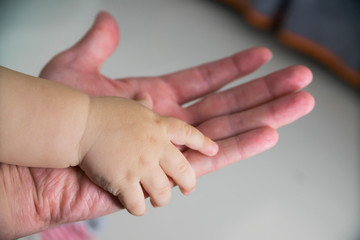 the child's hand in the parent's hand