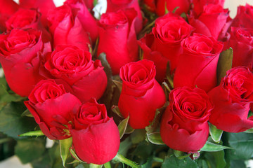 bouquet of red roses