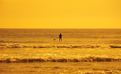 Fototapeta na wymiar Silhouette of man paddleboarding in the ocean in golden sunset light. Man and nature concept. 
