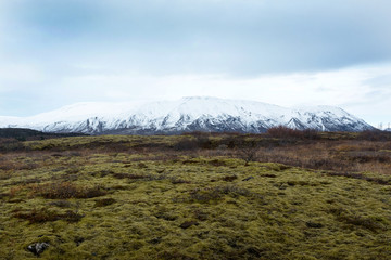 an abandoned landscape in Iceland, in the background of a snowy mountain