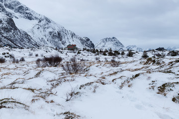 Lofoten islands, Norway. Winter landscape. Snow, mountains, fishing village in the background. Travel Norway.