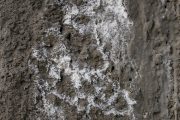 Rough Texture Or Background Of Concrete With Stains And Ridges, White Spots. Single.