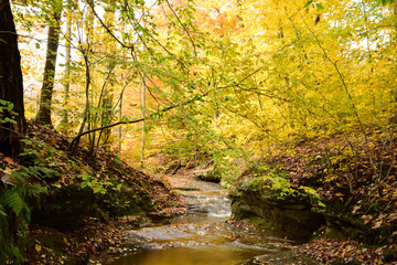Obraz premium Crystal Creek surrounded by fallen autumn leaves and vibrant trees in Nelson Ledges State Park