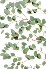 Fototapeta na wymiar Eucalyptus branches pattern. Natural wallpaper. Flat lay, top view