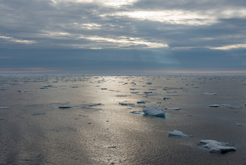 Arctic landscape - sea surface with ice floe
