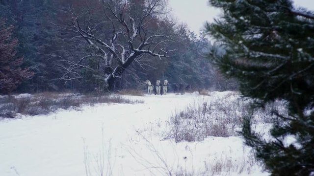 Wide shot of Troika. A Russian carriage drawn by a team of three black and three white horses side by side. Slow motion. HD