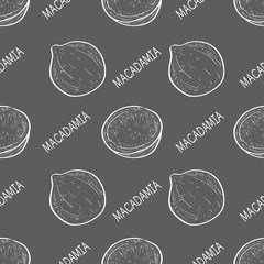 Macadamia. Fruit. Texture, wallpaper, seamless. Sketch. Gray background.